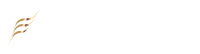 知財や技術・特許の相談なら弁護士法人内田・鮫島法律事務所